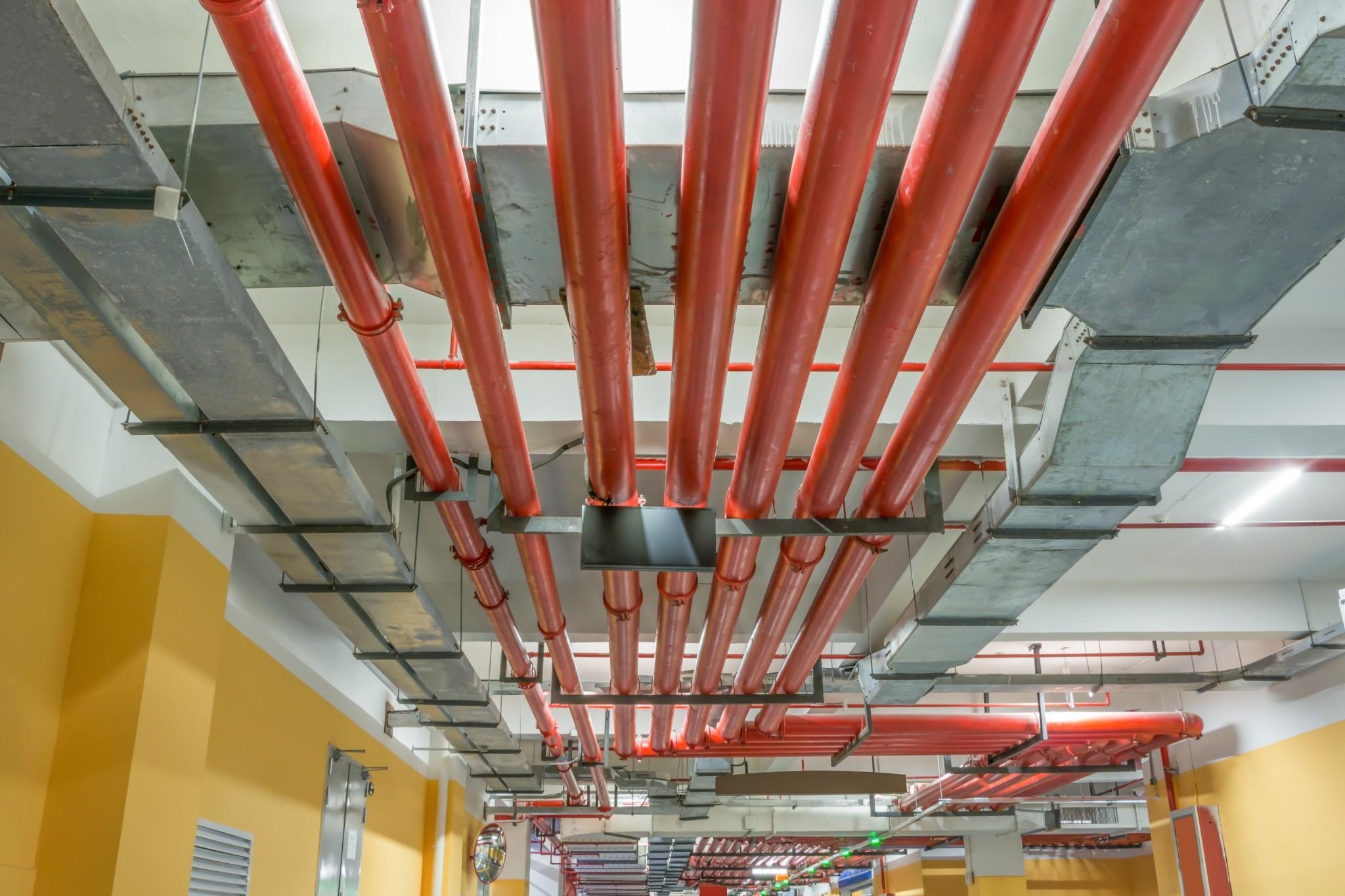 Fire sprinkler piping installed above a commercial facility ceiling
